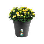 green basics pot de culture 40cm living noir